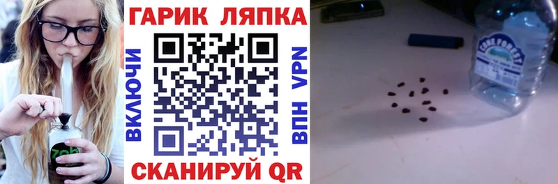 ГАШ Ice-O-Lator Верхний Тагил