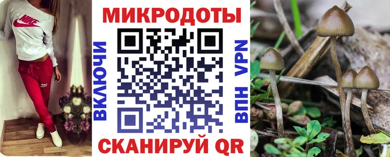 Галлюциногенные грибы Magic Shrooms  МЕГА вход  Верхний Тагил 
