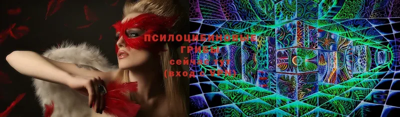 Галлюциногенные грибы Psilocybine cubensis  darknet официальный сайт  Верхний Тагил  магазин продажи  